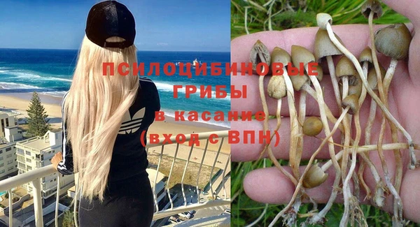 spice Алексеевка