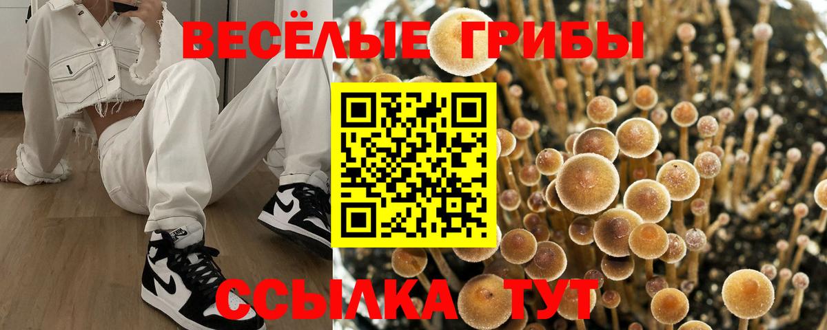 Самара  Псилоцибиновые грибы Magic Shrooms  закладки  Вход с VPN 